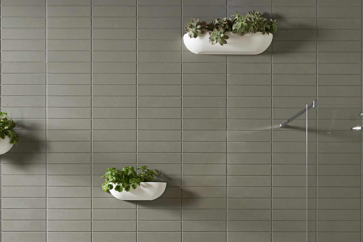 Rośliny do dekoracji łazienki