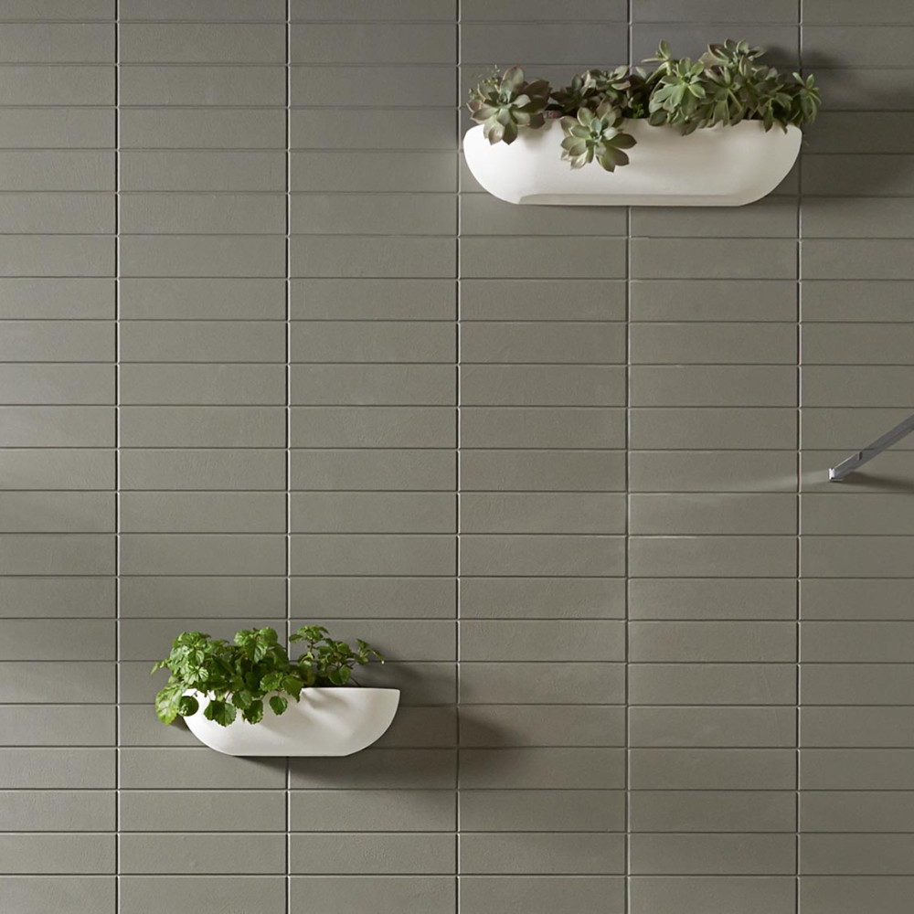 Rośliny do dekoracji łazienki