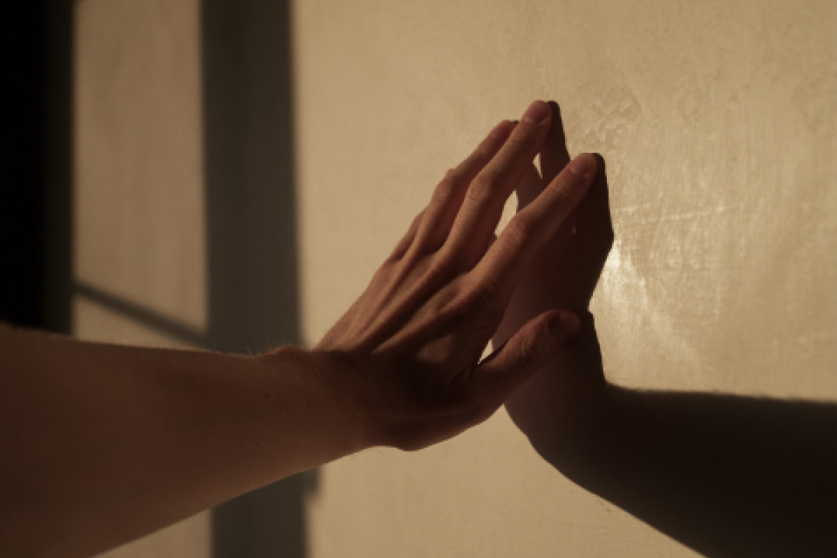 Arquitectos e interioristas